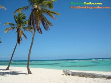 Logement Entier Dominicus 114453-10