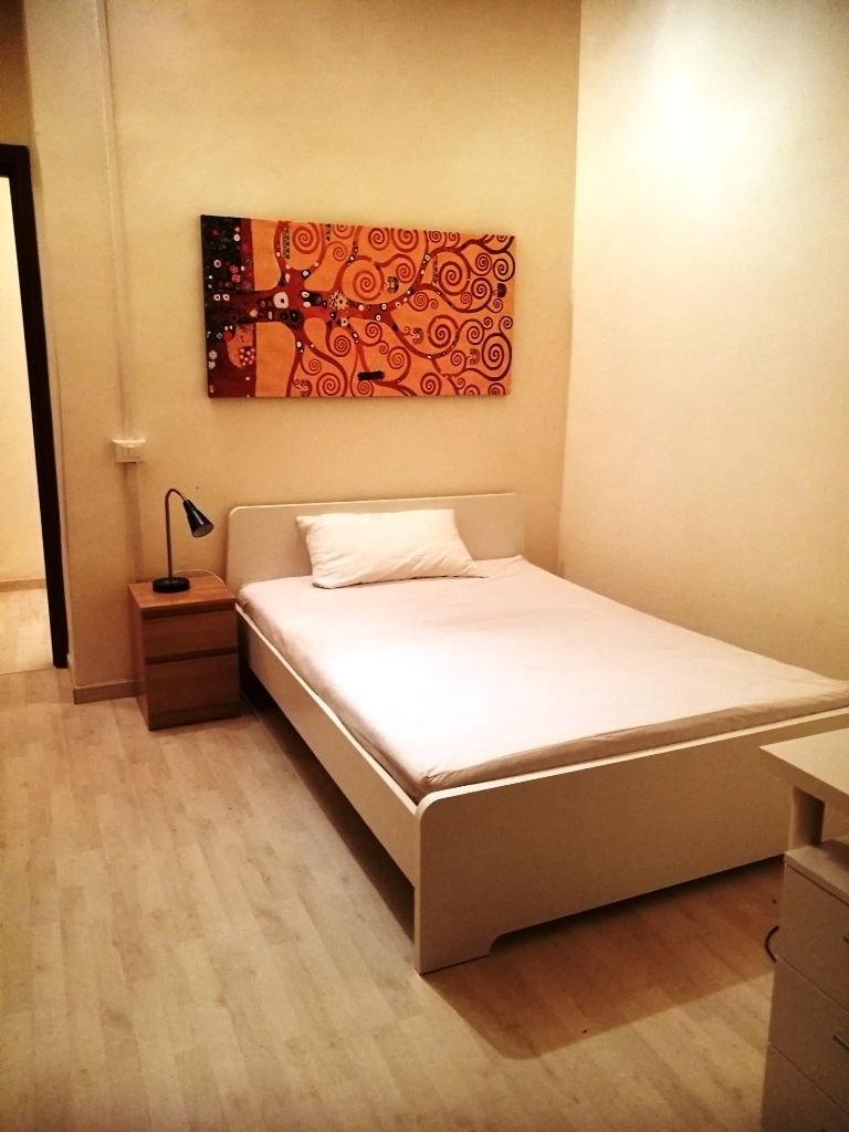 Colocación Roma 227828