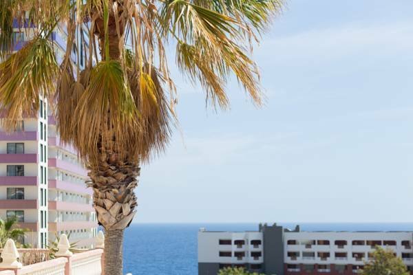Homestay Santa Cruz de Tenerife 173978