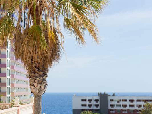 Hospedagem Em Casa De Família Santa Cruz de Tenerife 173978-2