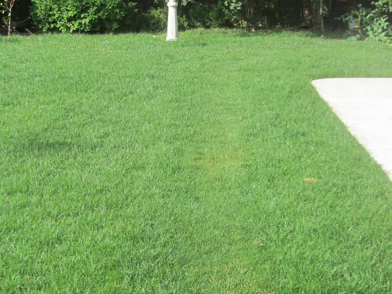 Kolokation Alcobendas 235219-2