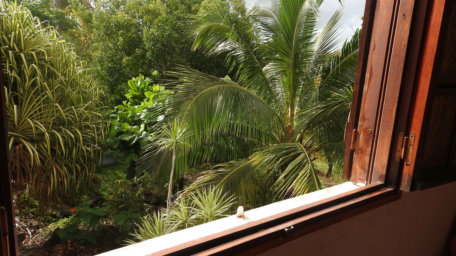 Unabhängiges Studio Basse-Terre 183534