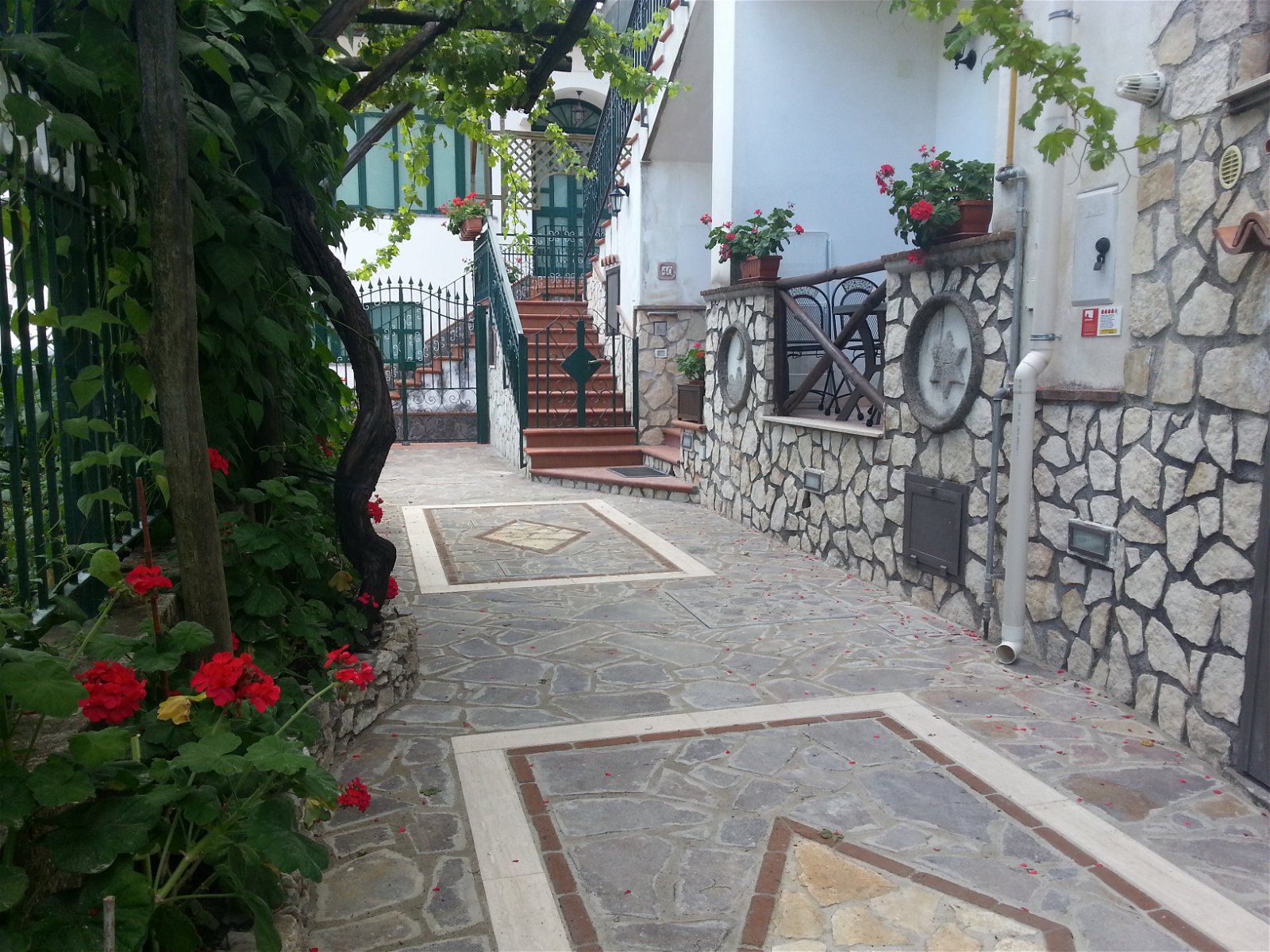 Gastgezin Carbonaro 193798