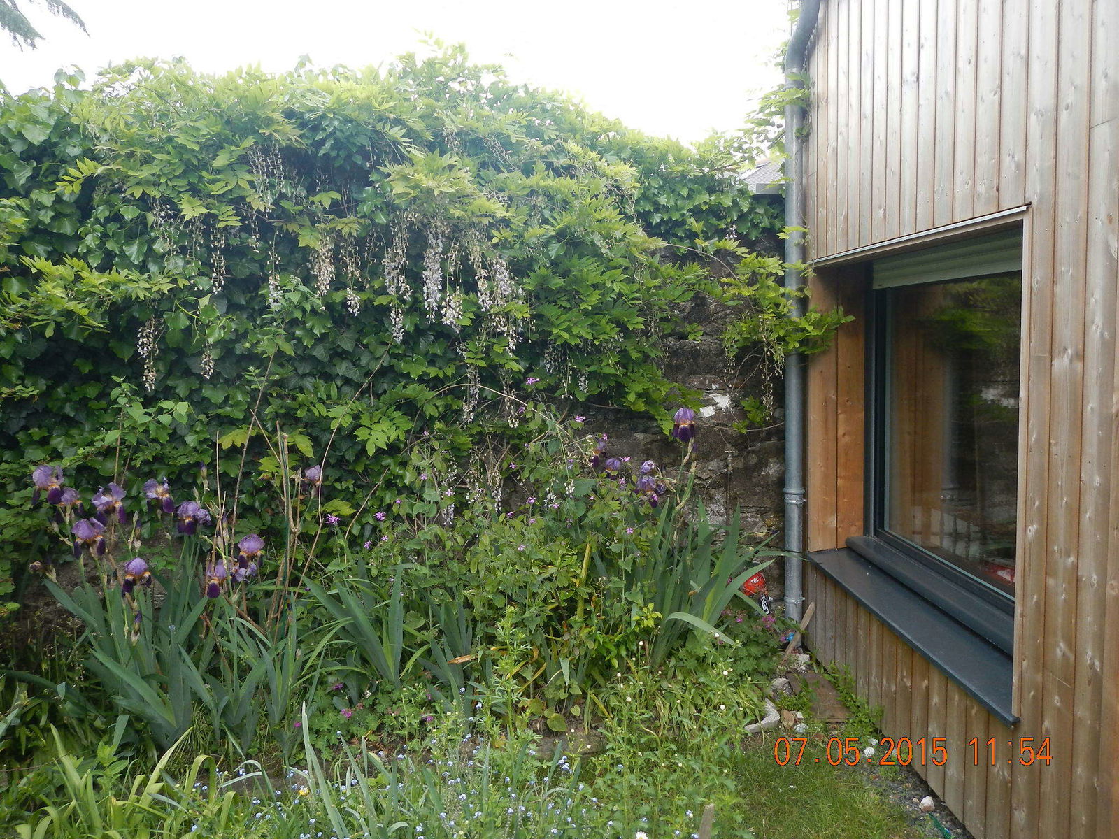 Famiglia Nantes 170979