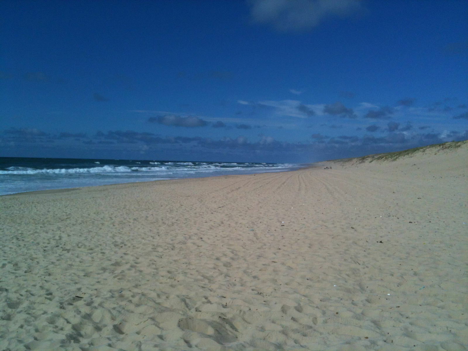 Uafhængigt Studie Boos 46540