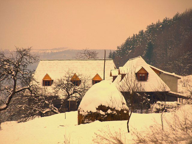 Gästezimmer Sighetu-Marmatiei 19919