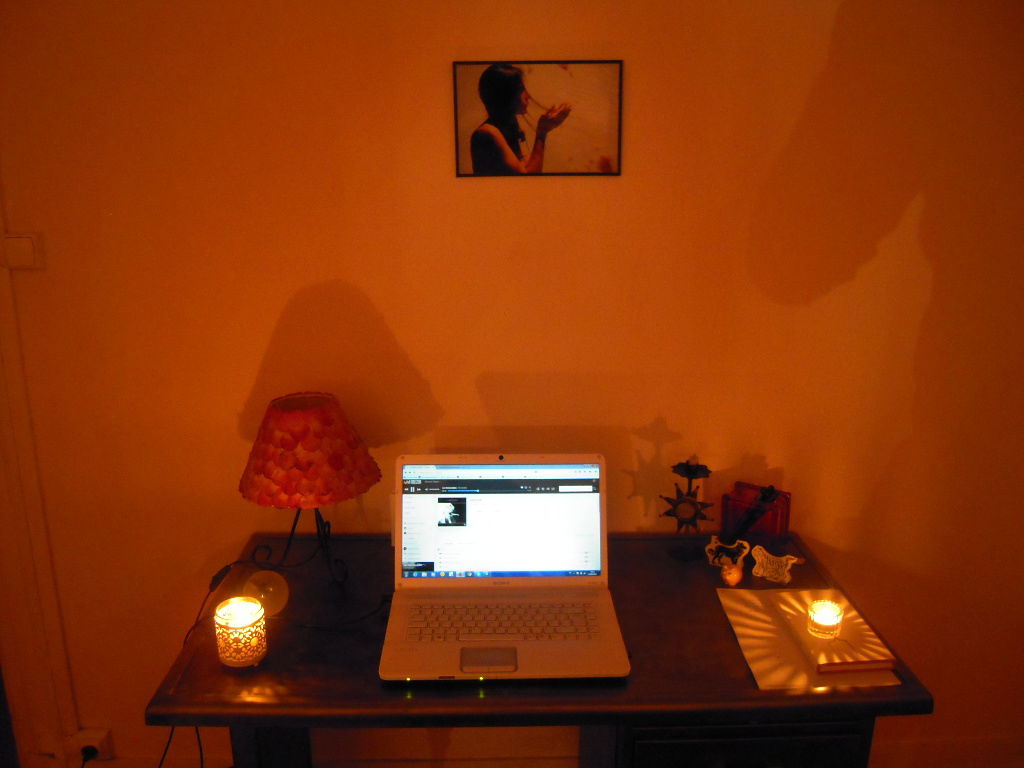 Homestay Toulouse 81801