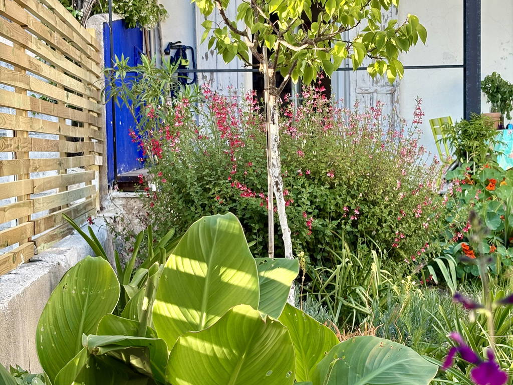 Ganzes Haus Marseille 427994-1
