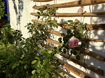 Toda La Casa Marseille 427994-10