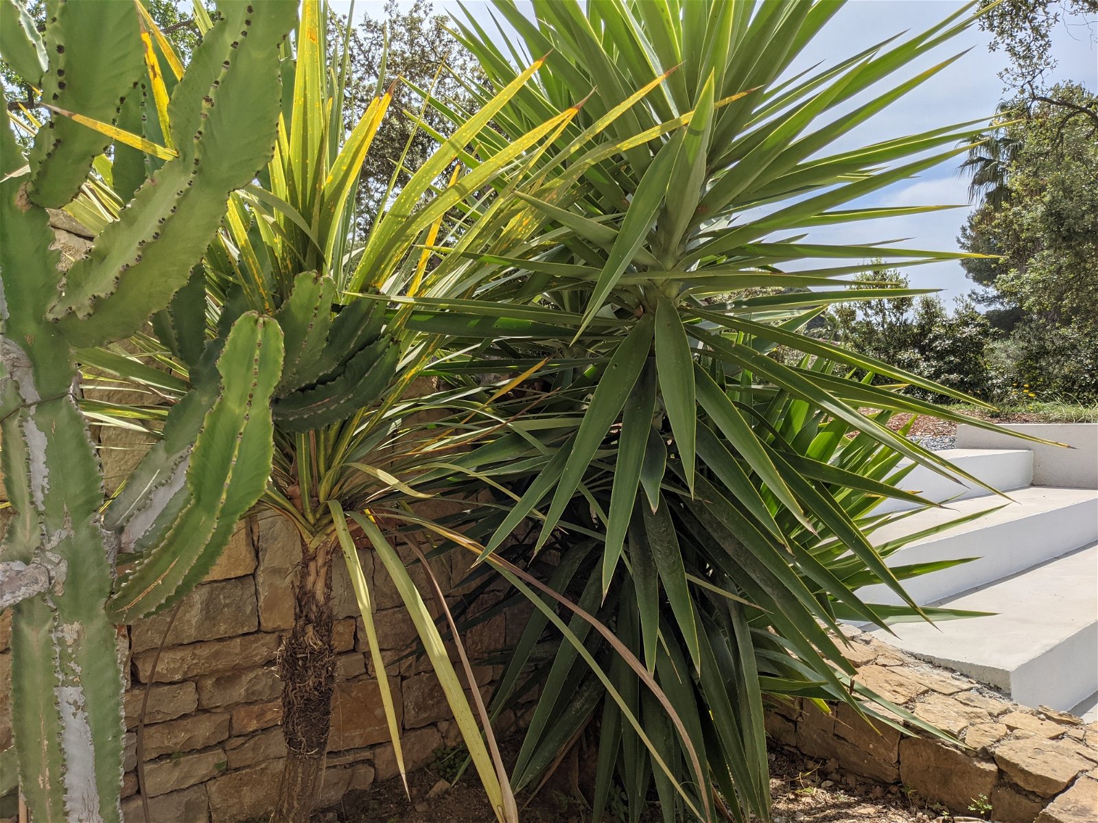 Studio Indépendant Six-Fours-les-Plages 249674