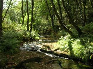 Chambre Chez L'habitant Caxín 151524-6