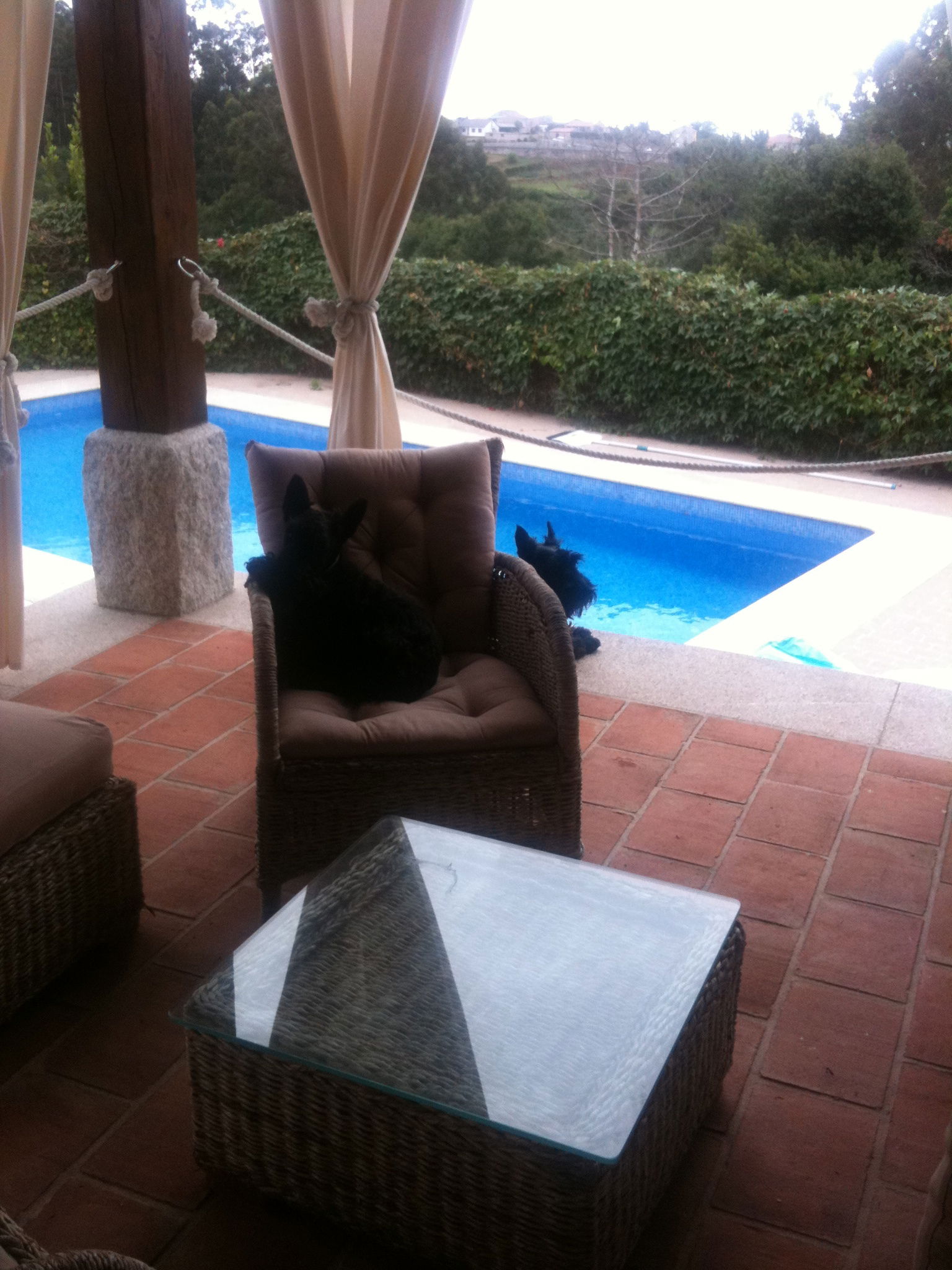 Homestay Caxín 151524