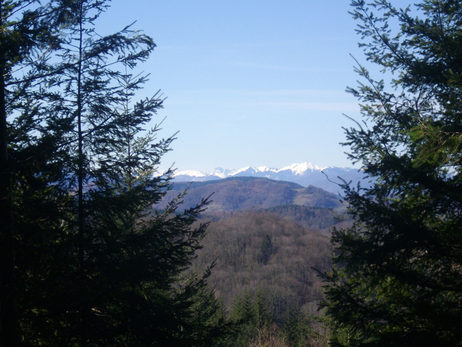 Tutta La Casa Alzen 160767