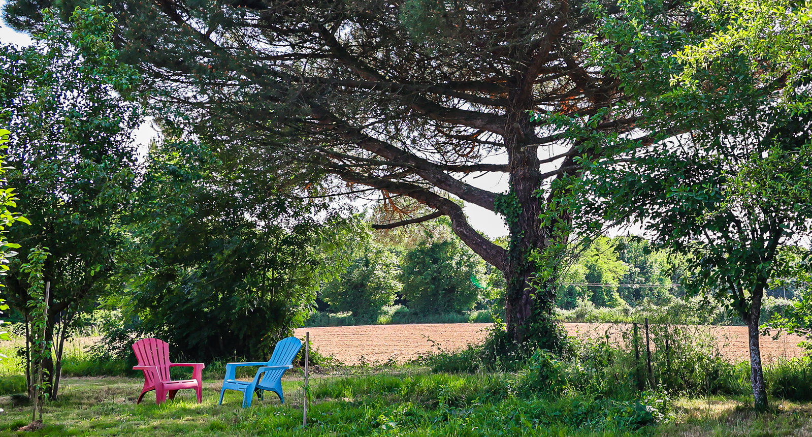 Alloggio Intero La Forêt-sur-Sèvre 537933