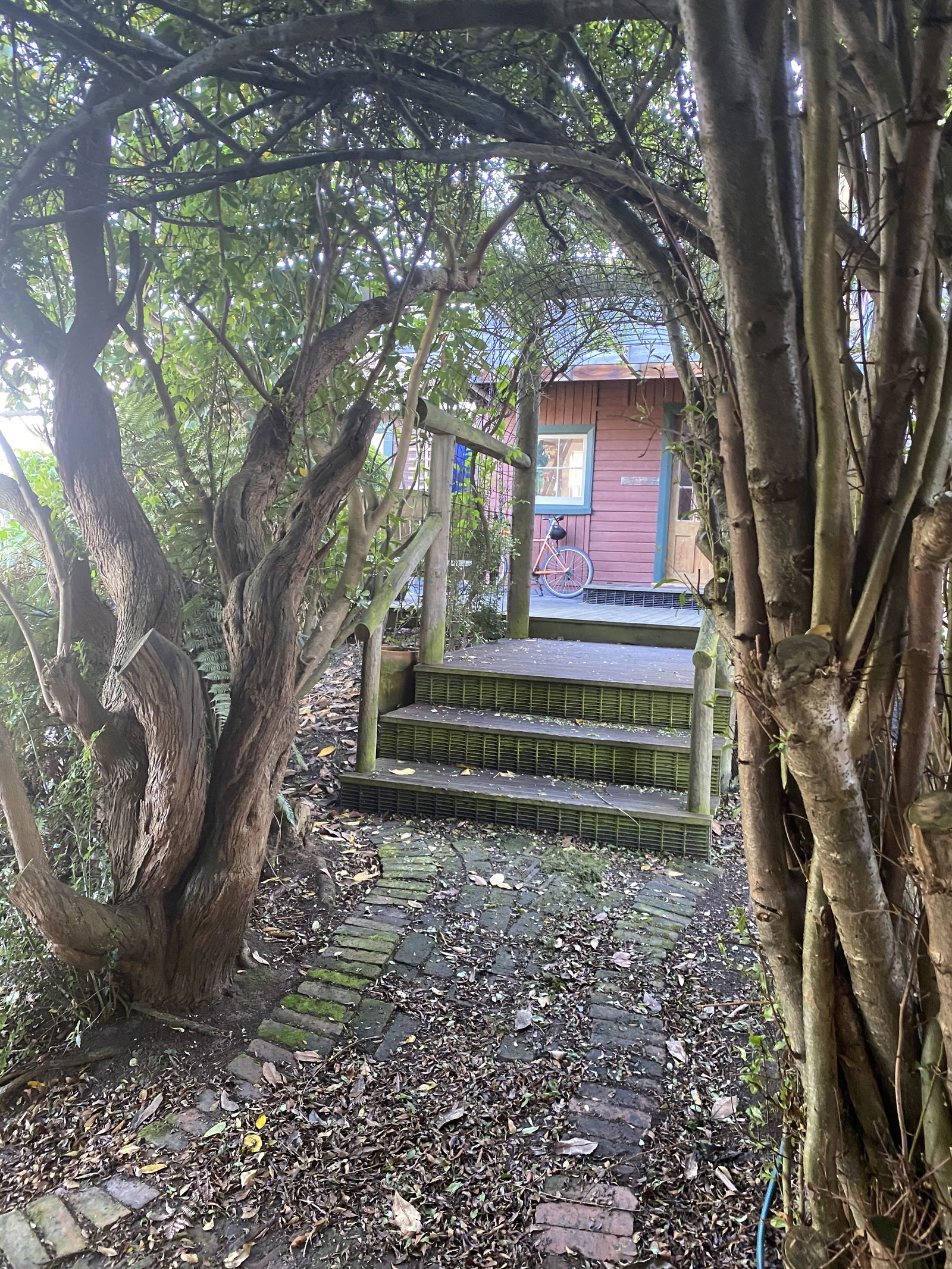 Collocazione Balclutha 192627