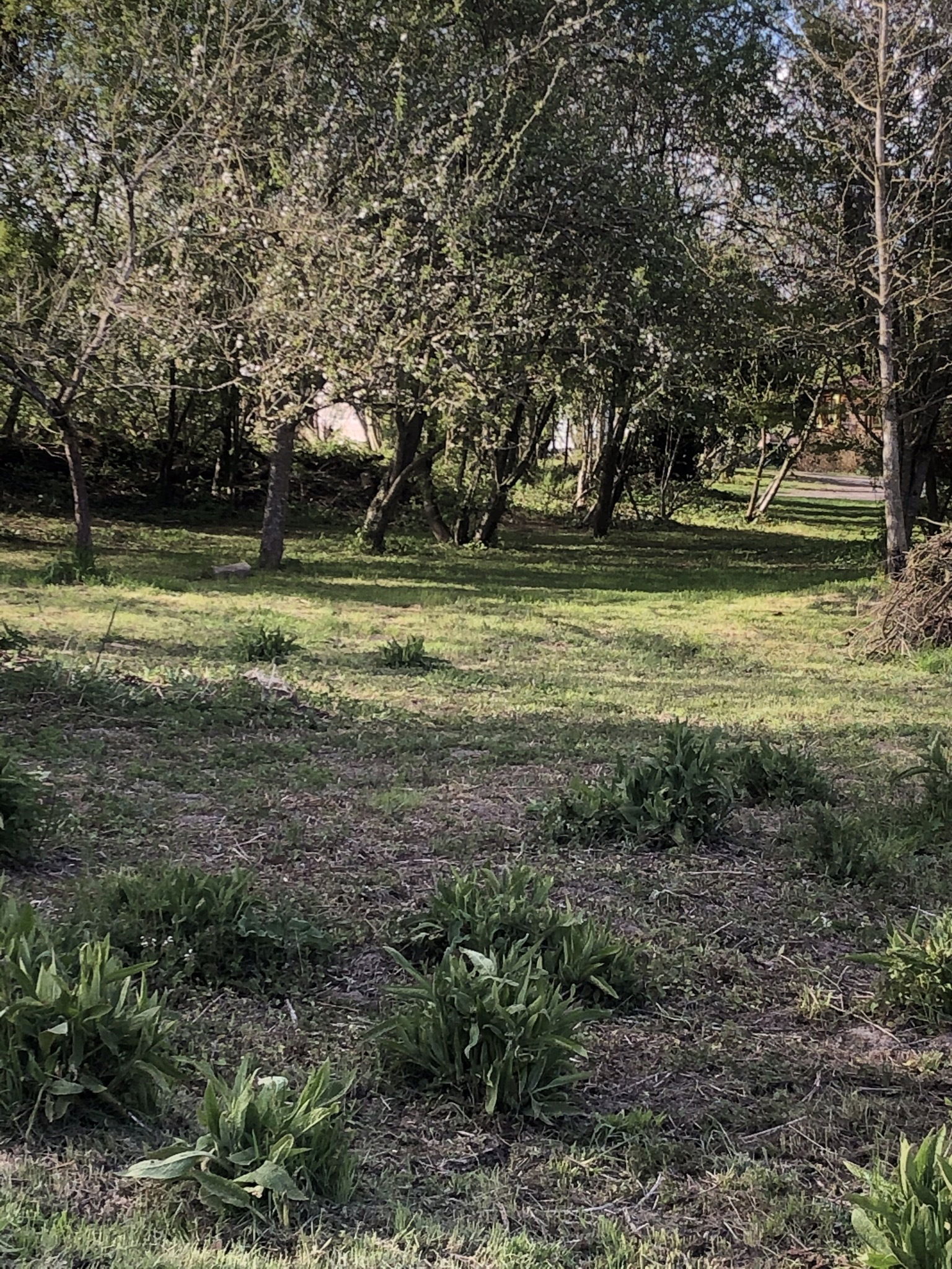 Tutta La Casa Potelle 248784