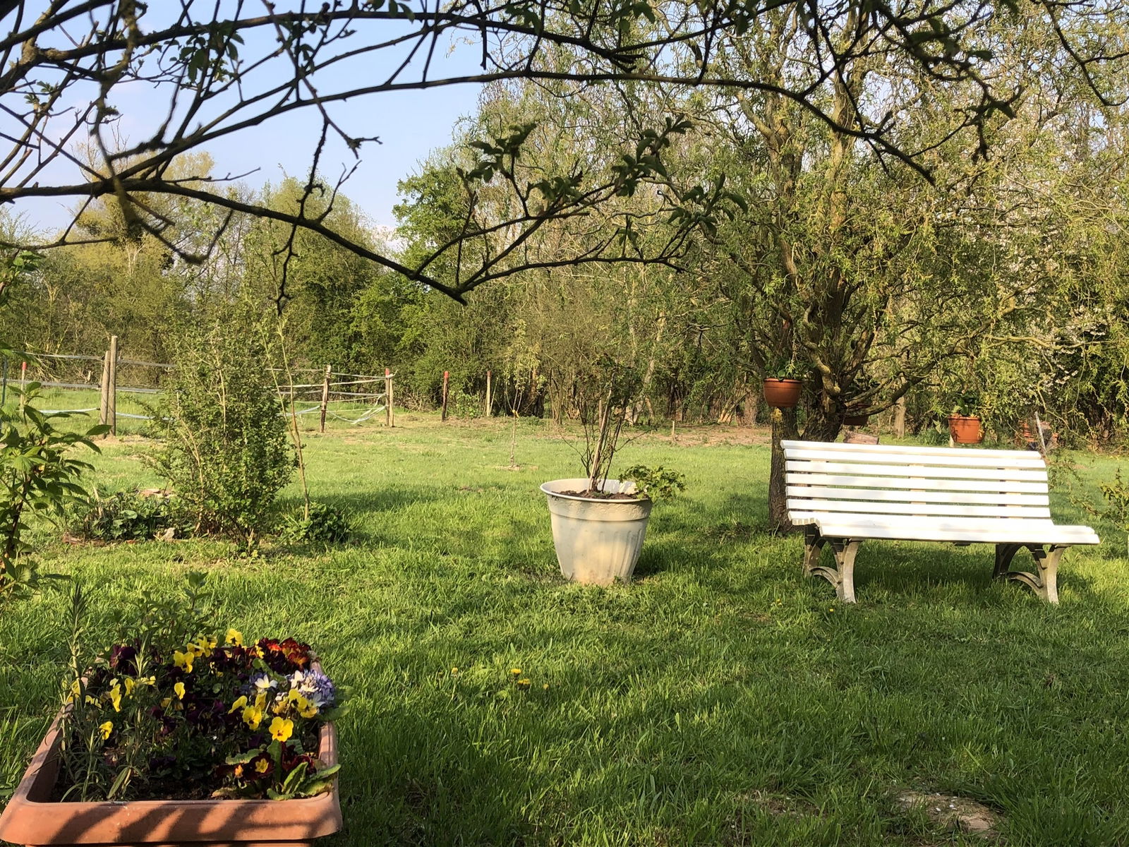 Tutta La Casa Potelle 248784