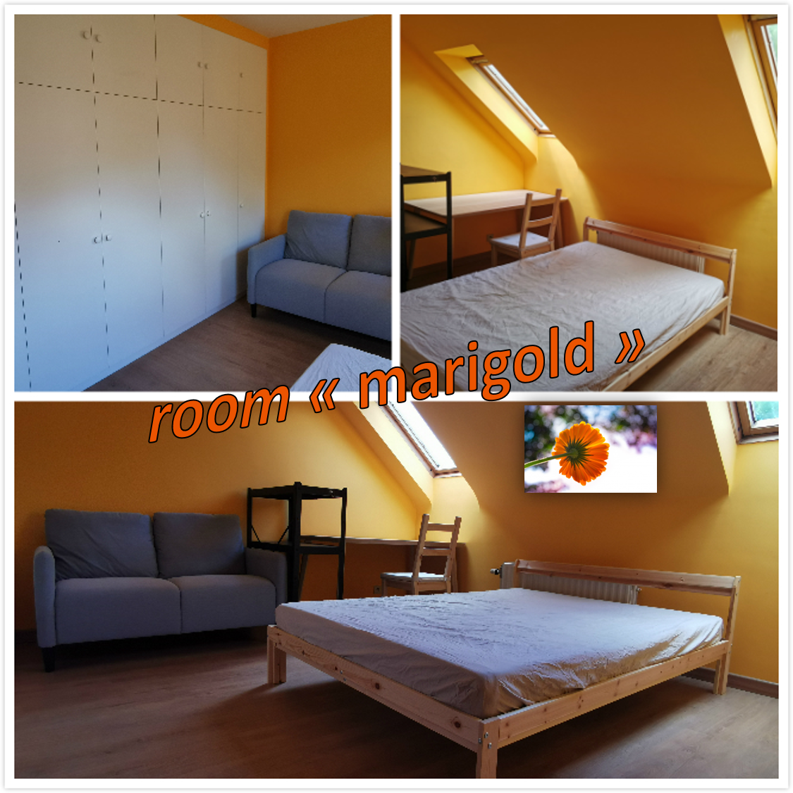 Gastfamilie Ottignies-Louvain-la-Neuve 237292