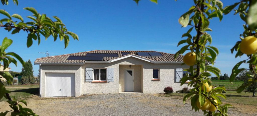 Tutta La Casa Lavit 246071