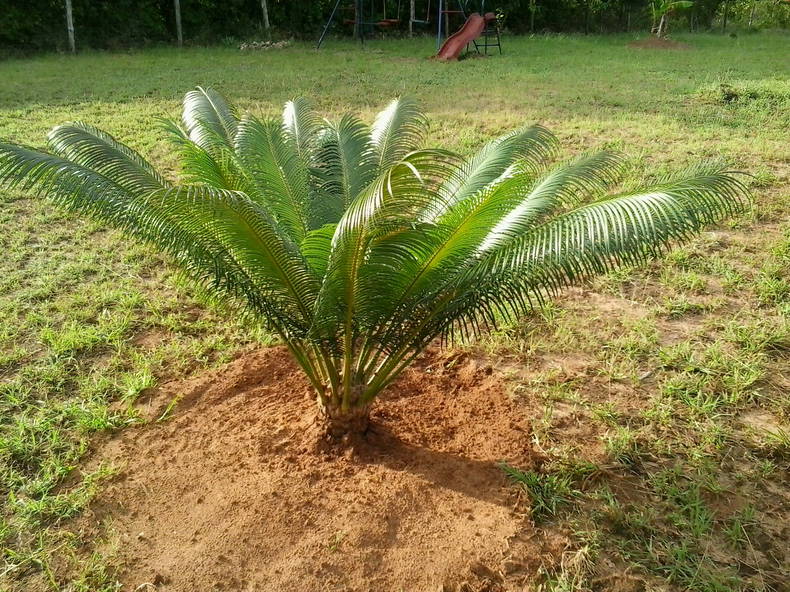 Hospedagem Em Casa De Família Tiwi 116275-2