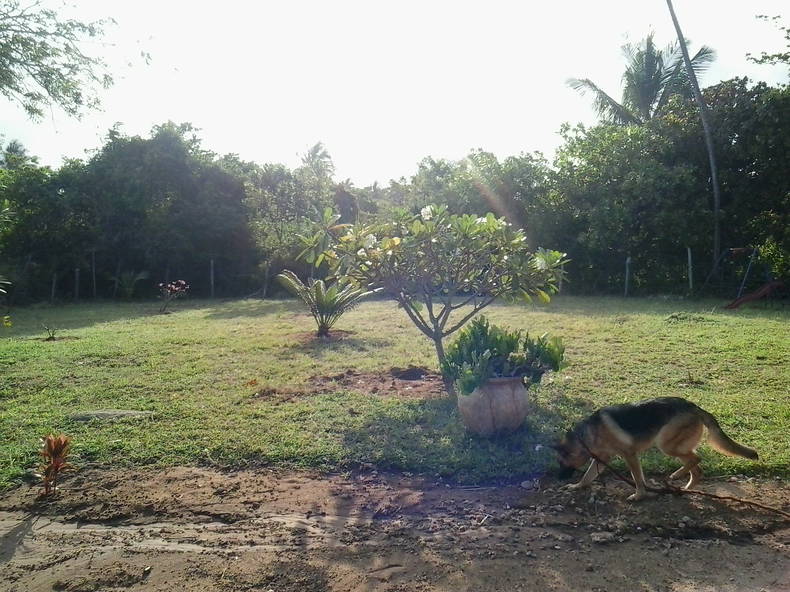 Hospedagem Em Casa De Família Tiwi 116275-3