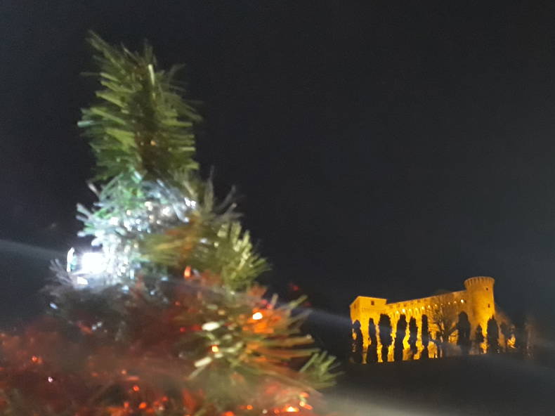 Entire Home Garbelletto 206014-5