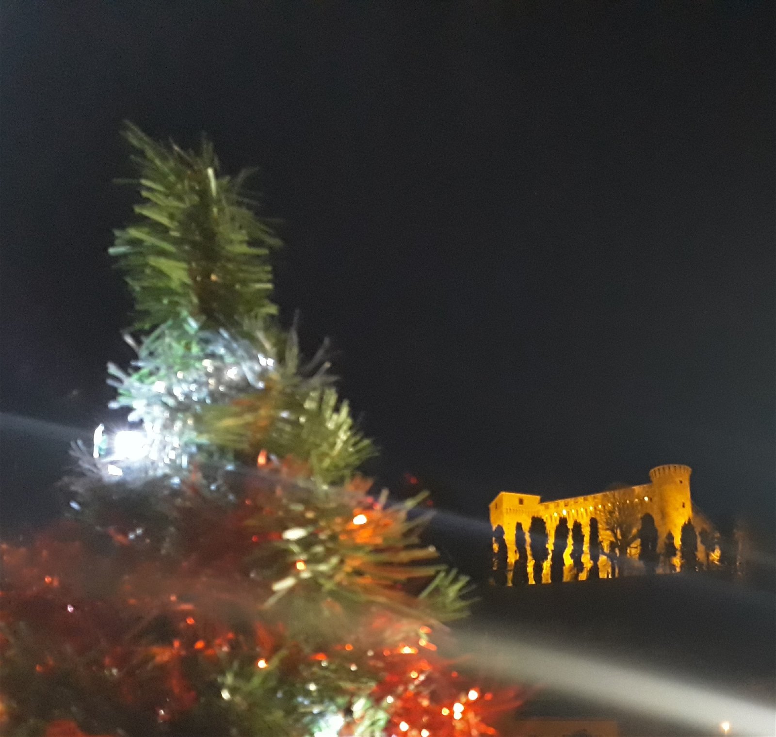 Studio Indépendant Garbelletto 206014