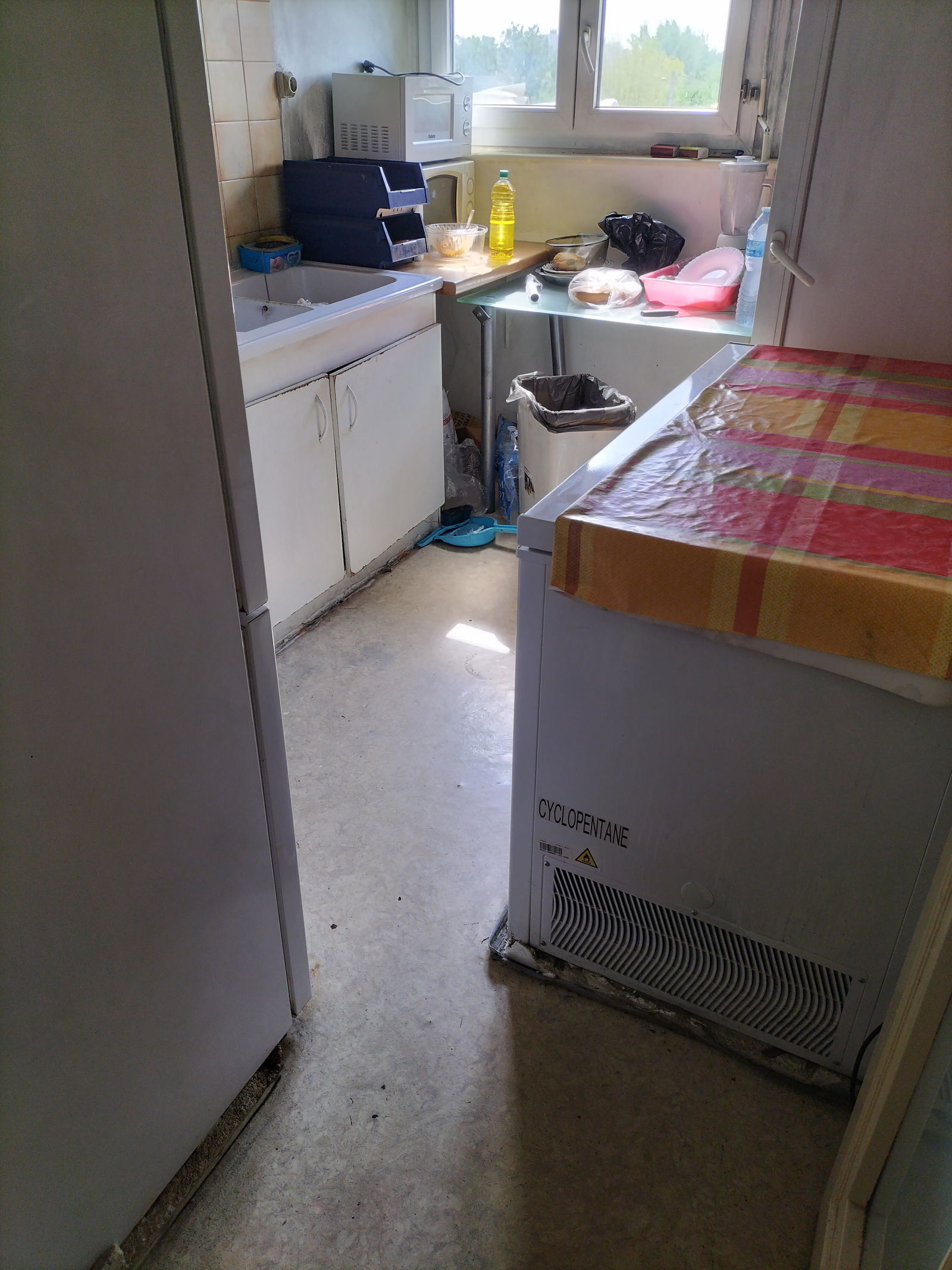 Colocation Bègles 261344