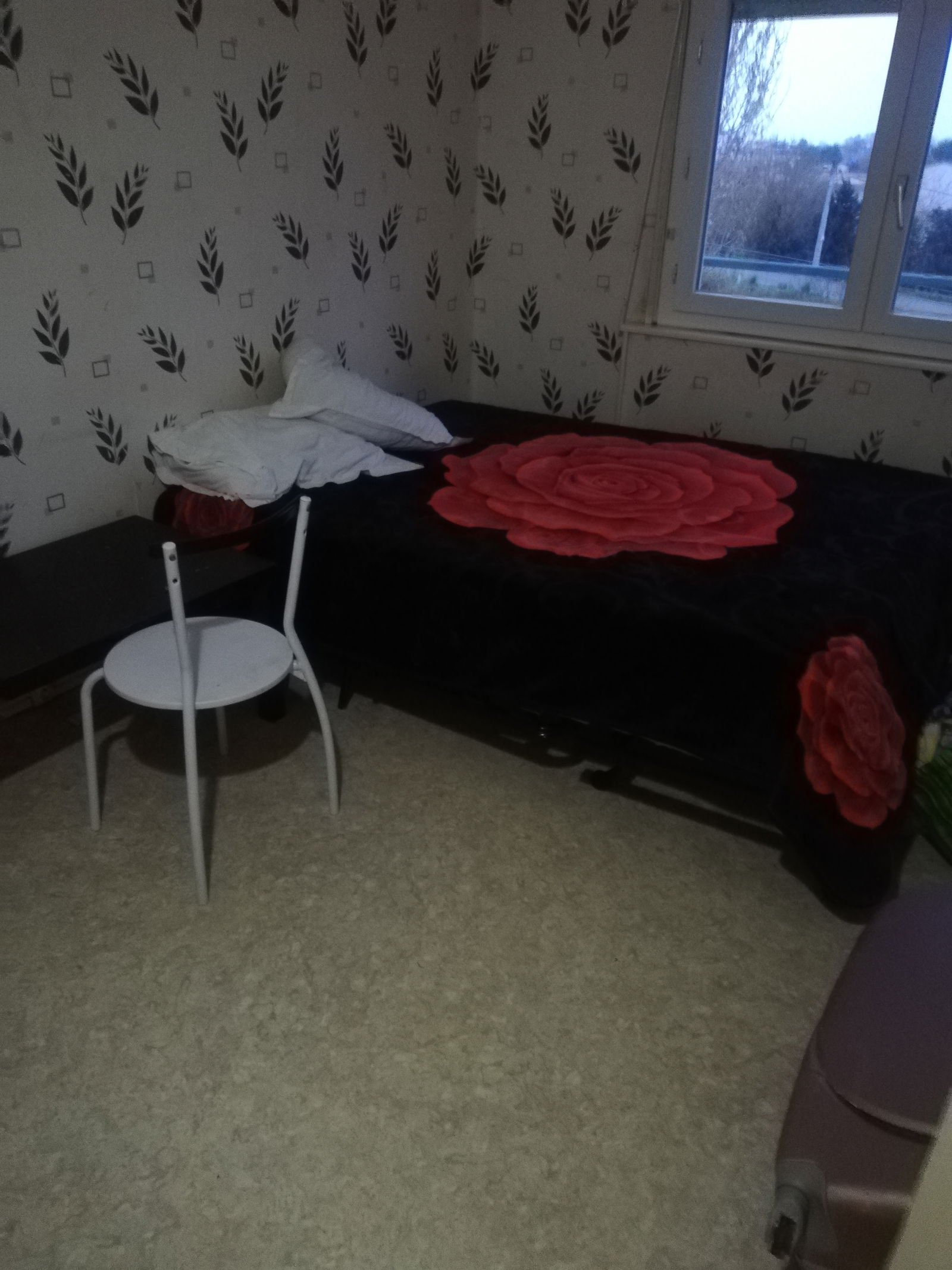 Homestay Bègles 246499