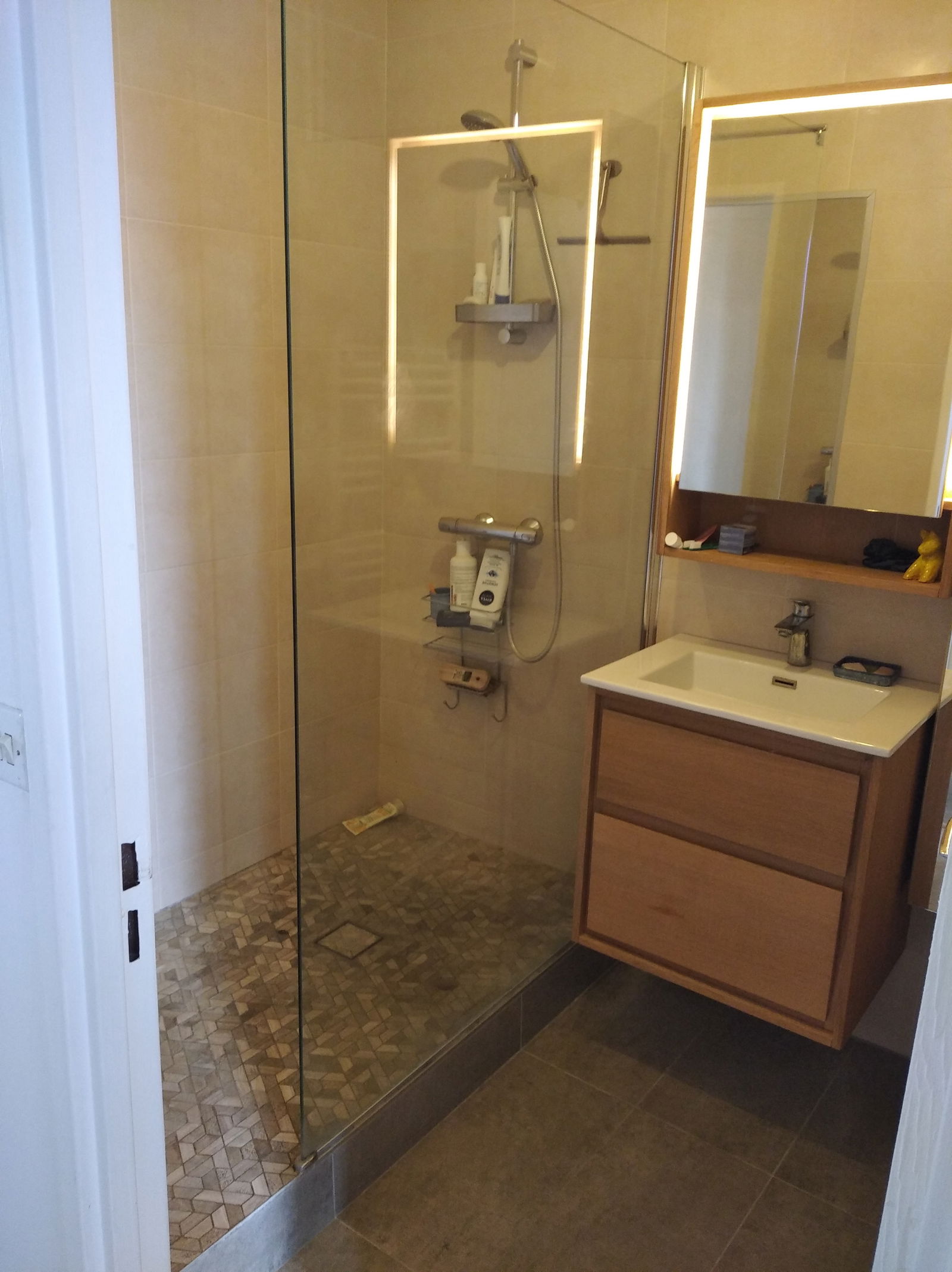 Colocation Les Ulis 260313