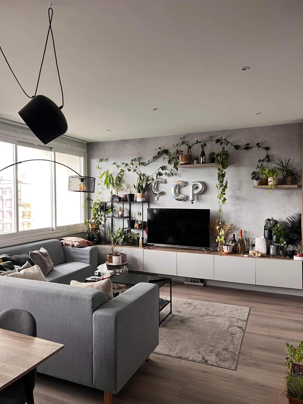 Colocation Lyon 540852