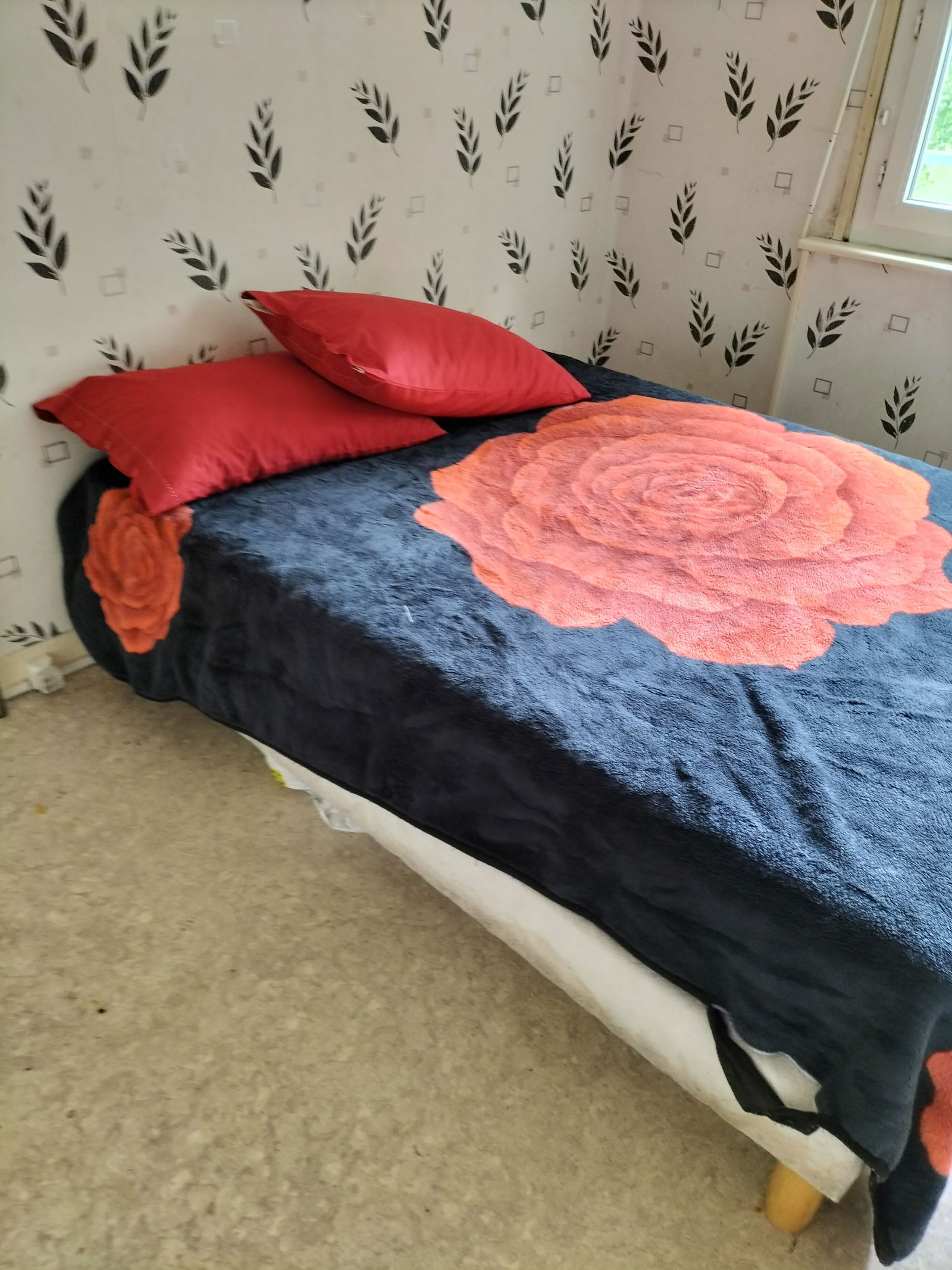 Colocation Bègles 251834