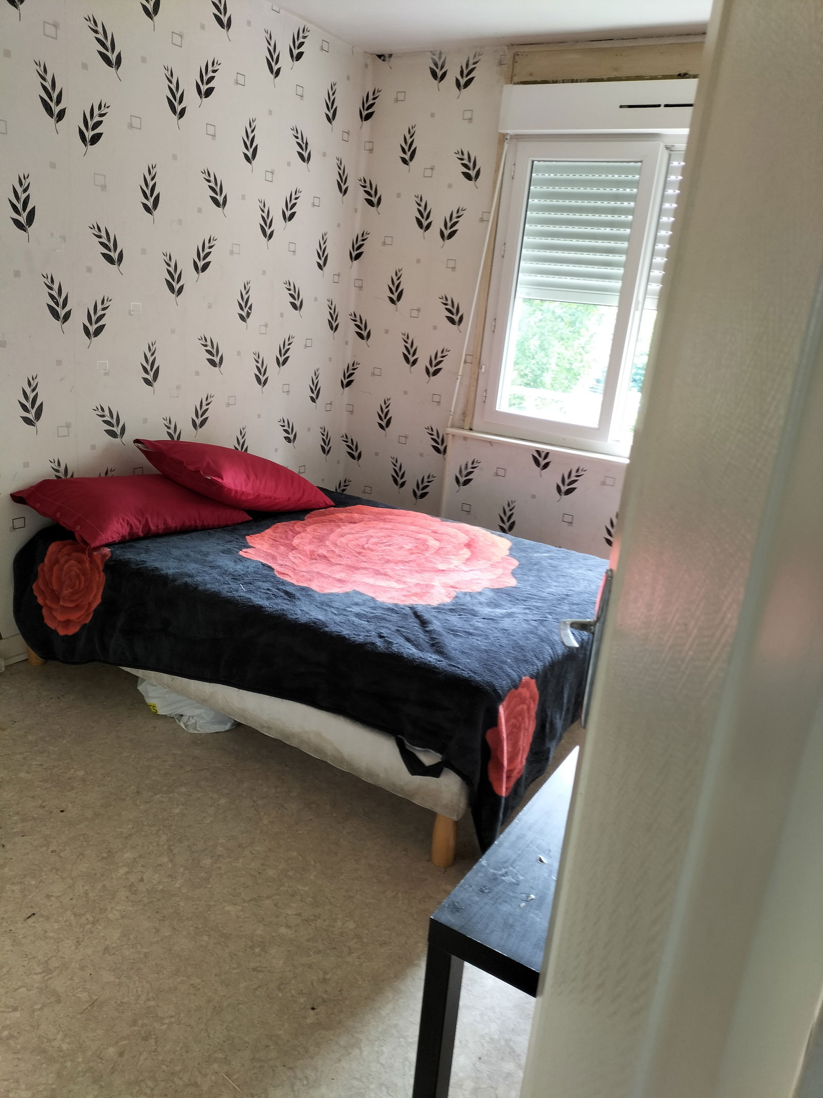Colocation Bègles 251835