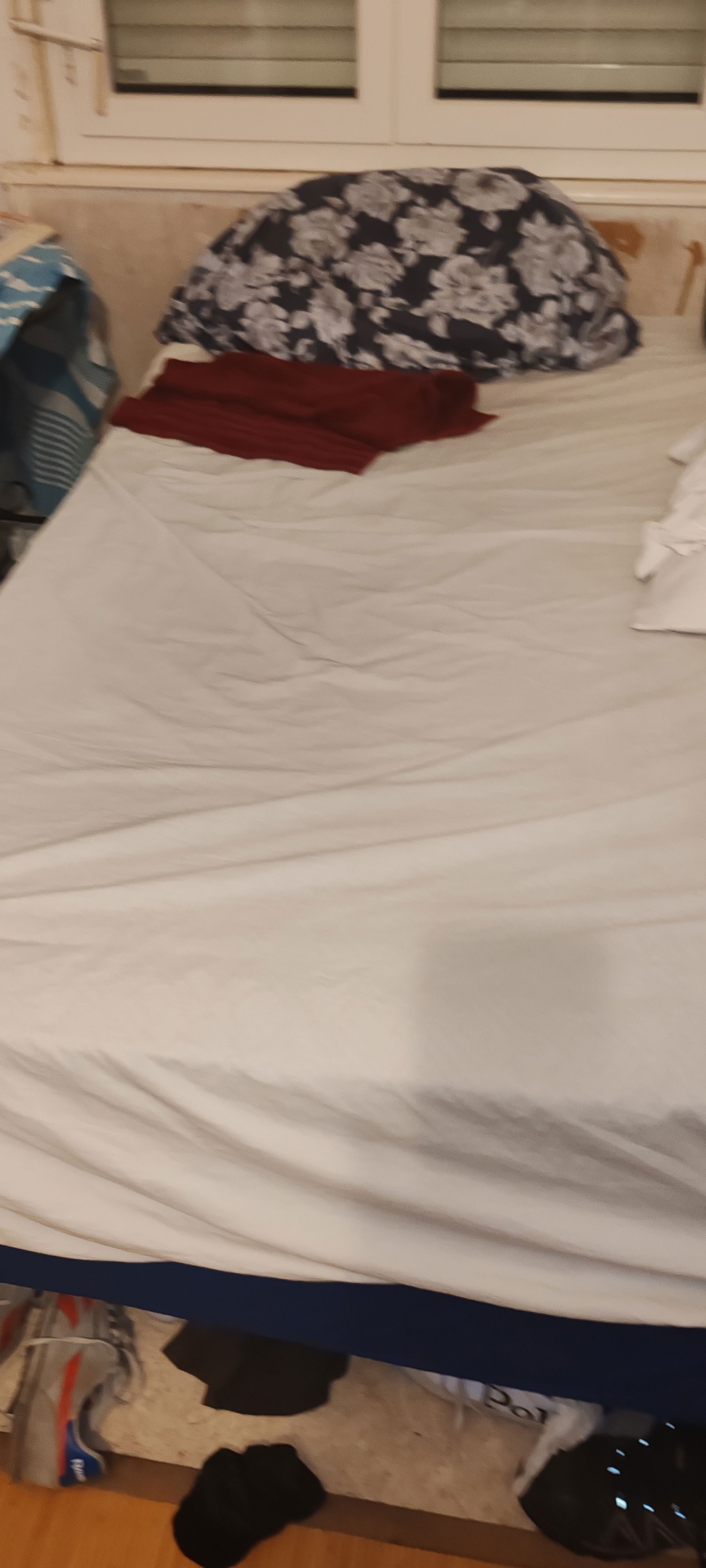 Gastfamilie Bègles 430717