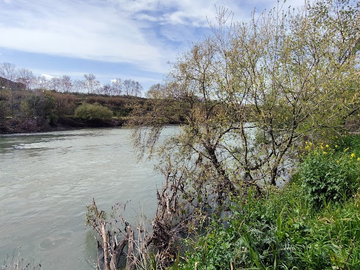 Colocation Roma 120661-10