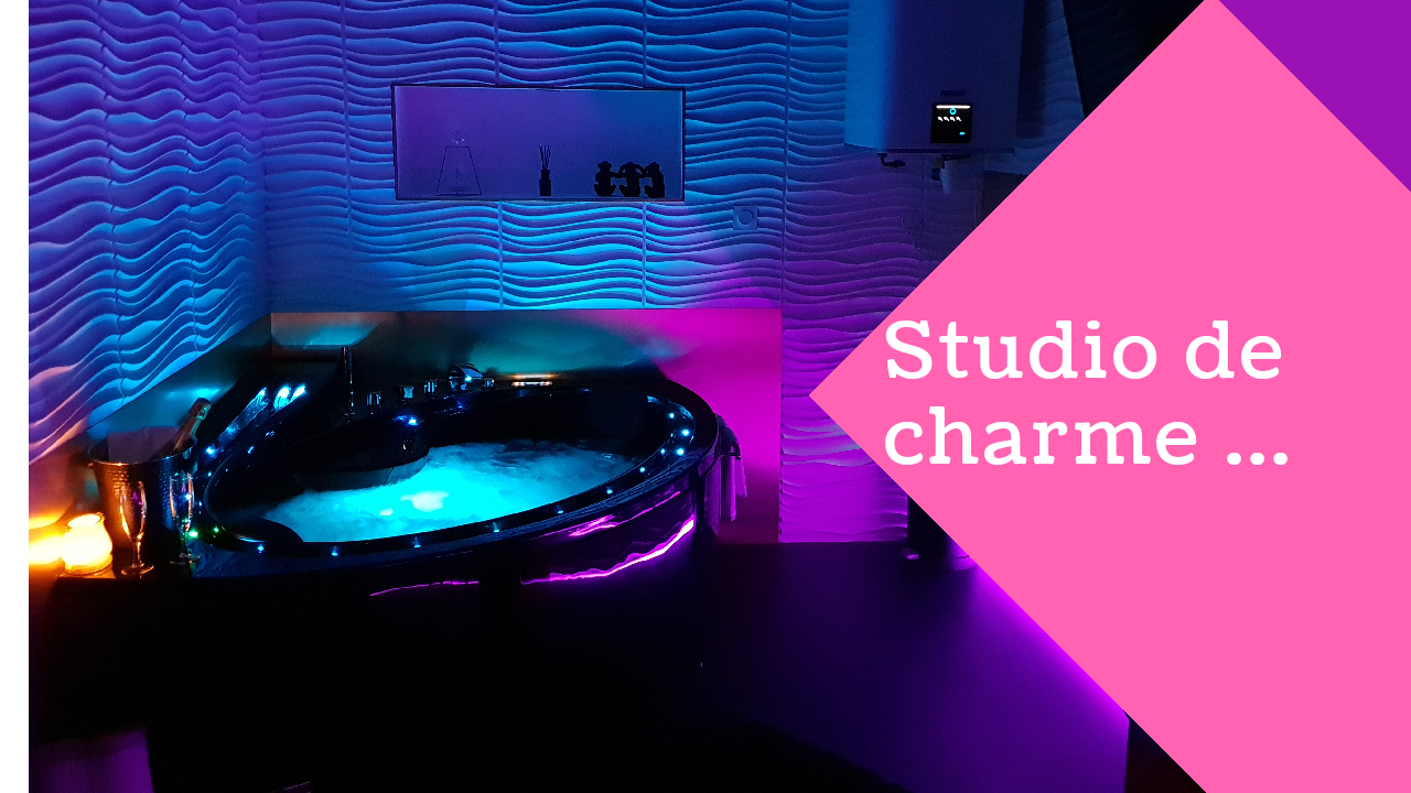 Independent Studio Villefranche-sur-Saône 230396