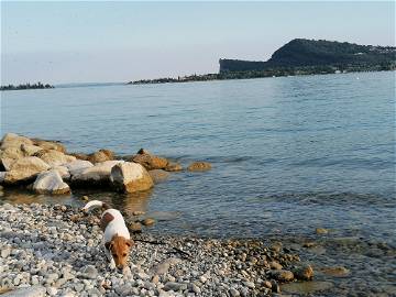 Logement Entier San Felice Del Benaco 176251-23