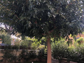 Chambre Chez L'habitant Pélissanne 257123-5