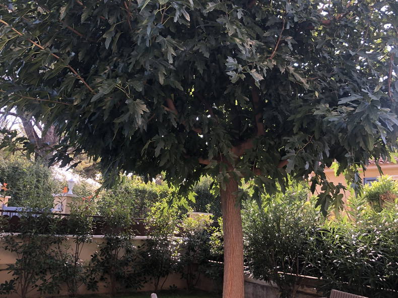 Homestay Pélissanne 257123-5