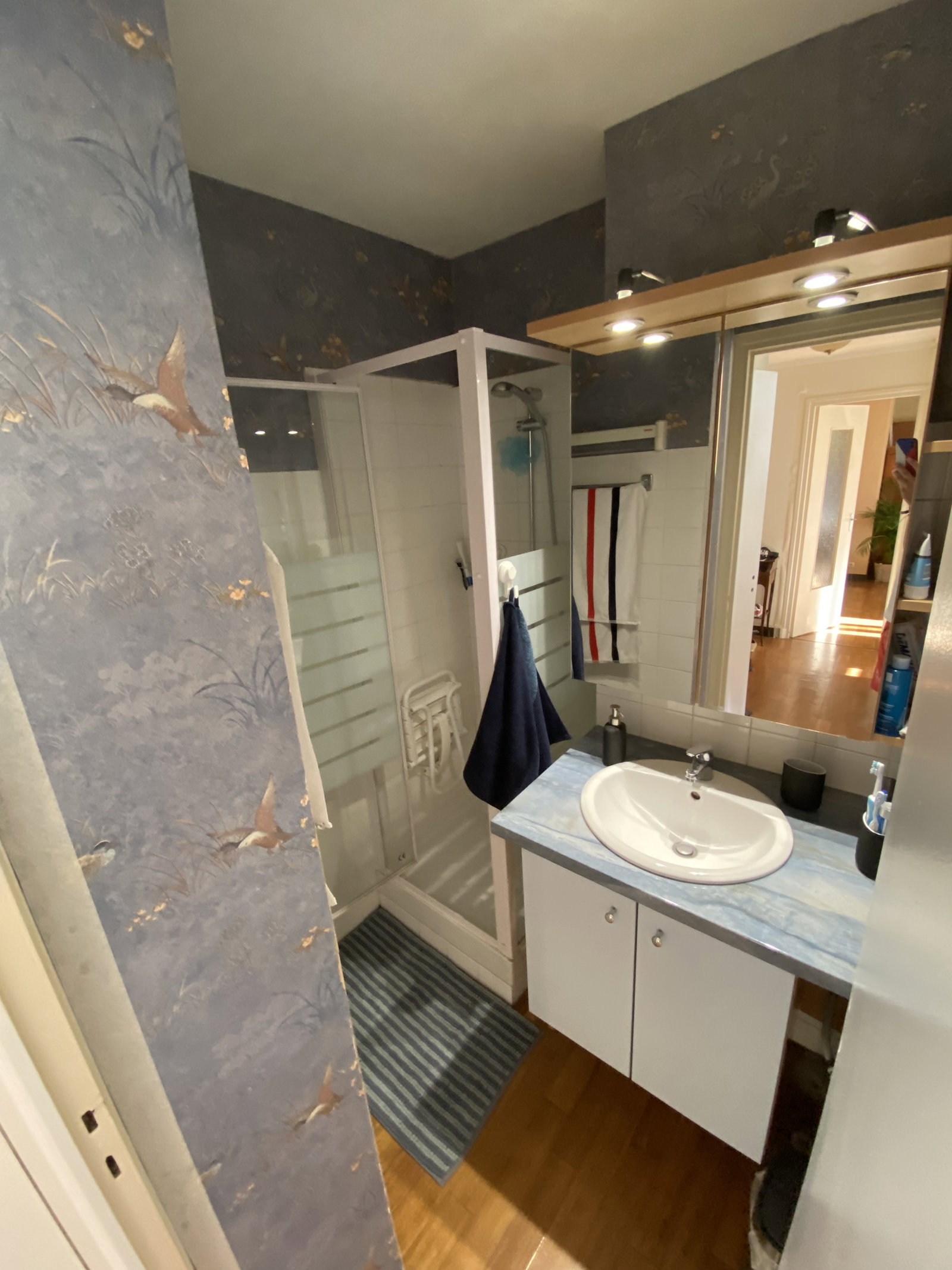 Colocation Grenoble 266116