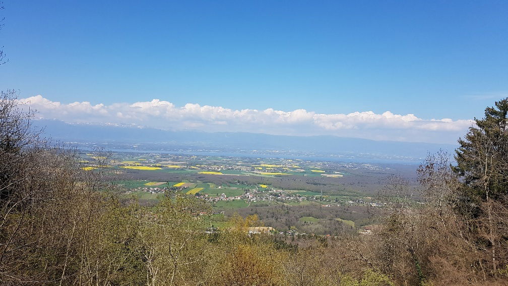 Homestay Cranves-Sales 257293