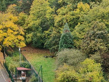 Chambre Chez L'habitant Massy 256993-7