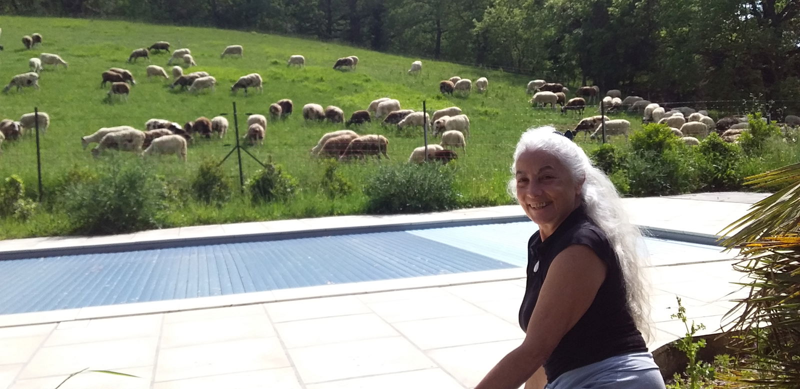 Homestay Lamaguère 154973