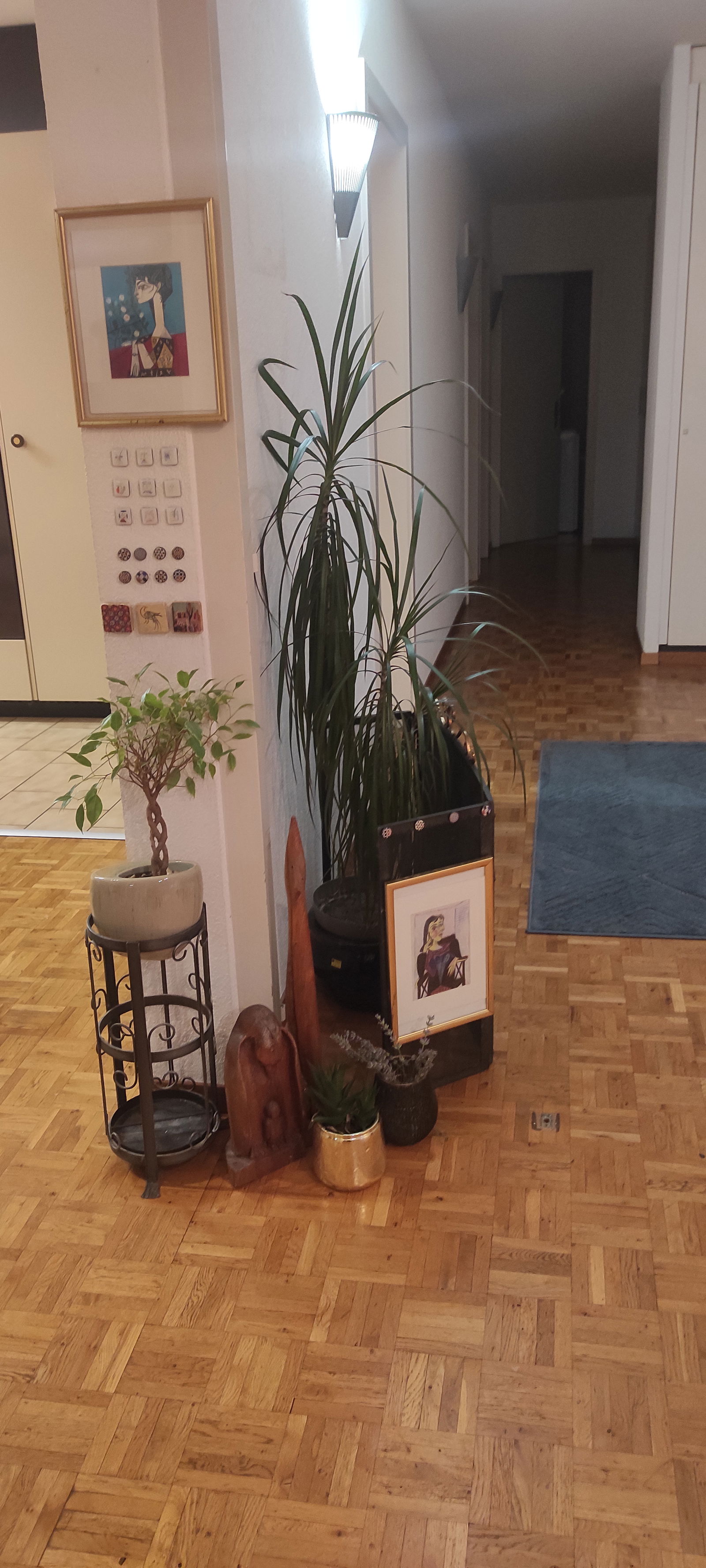 Homestay Marly 426665