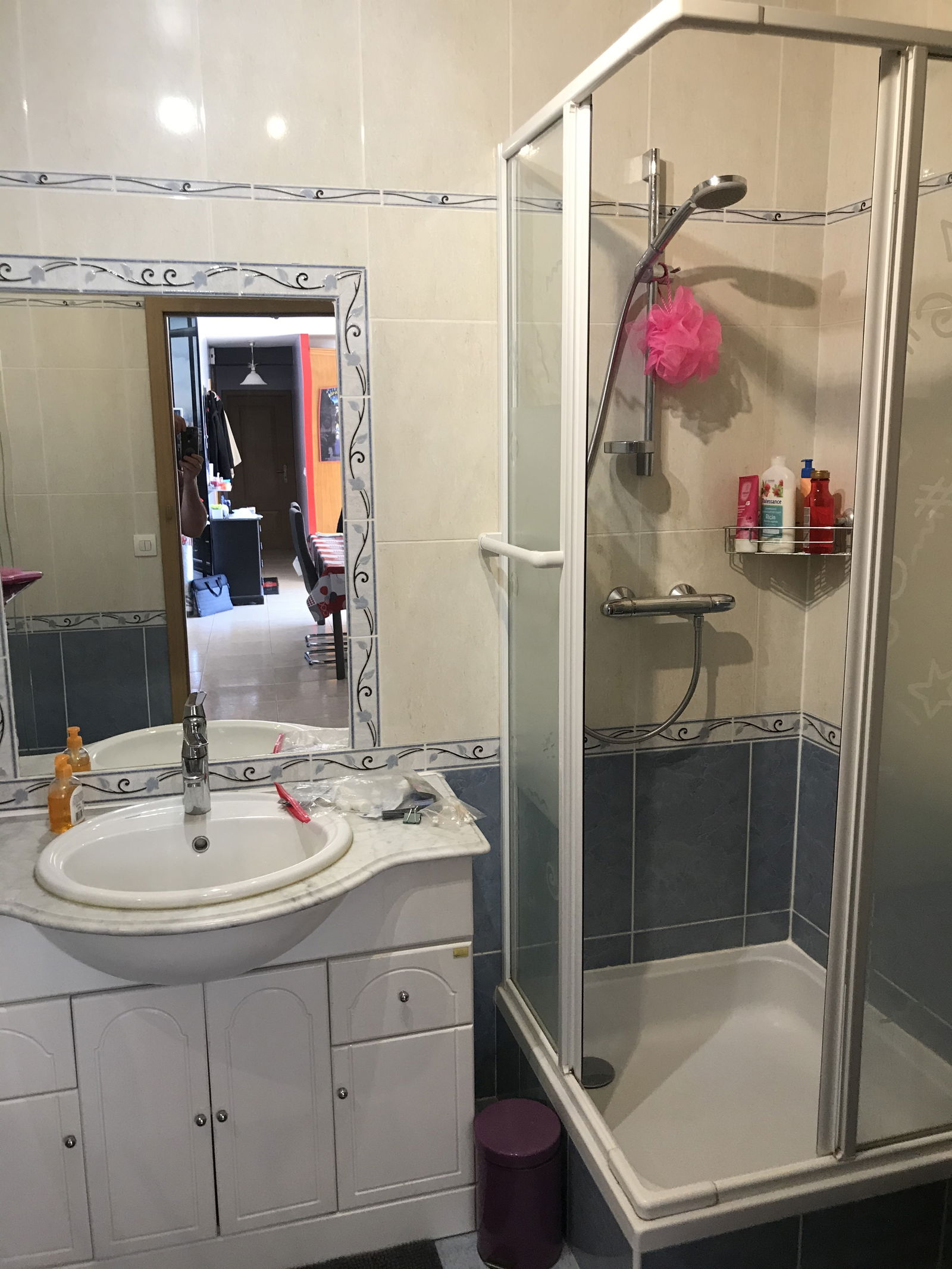 Homestay Mantes-la-Ville 245409