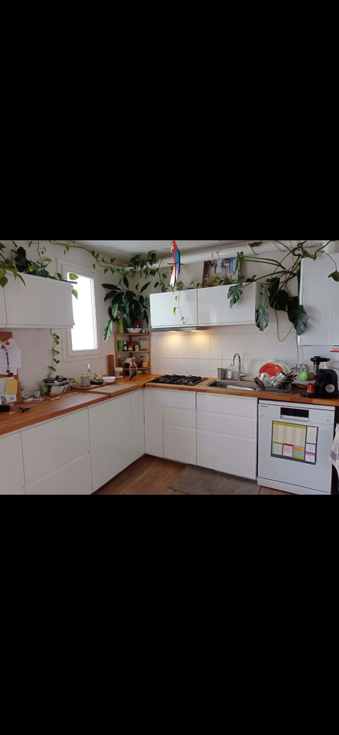 Homestay Bordeaux 267186