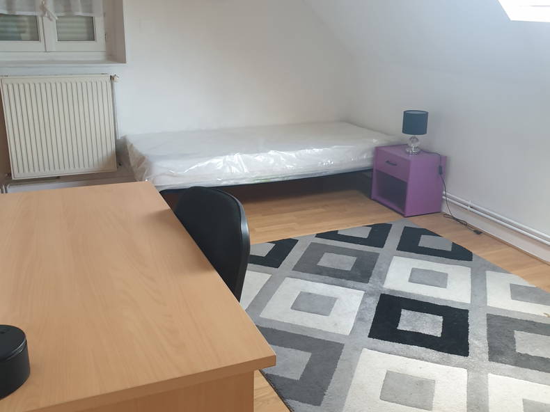 Chambre Chez L'habitant Sainte-Jamme-sur-Sarthe 262060-3