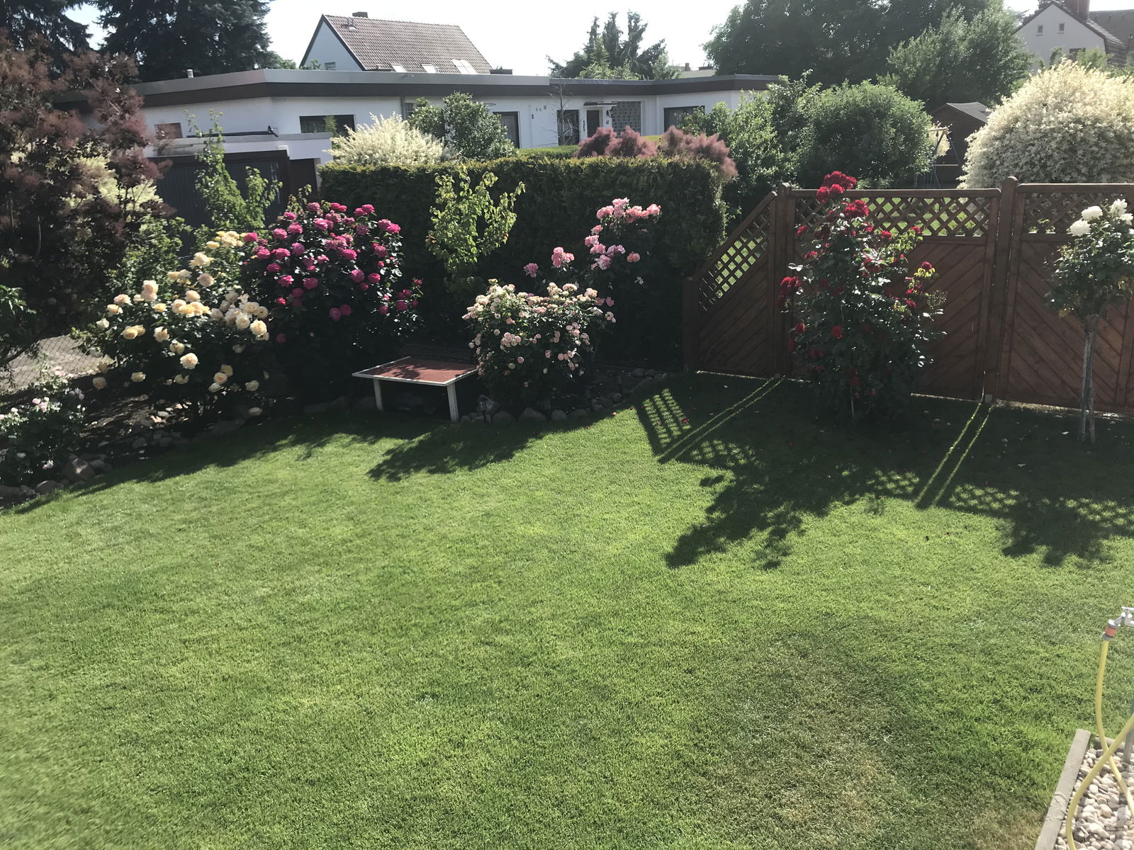 Homestay Berlin 267322