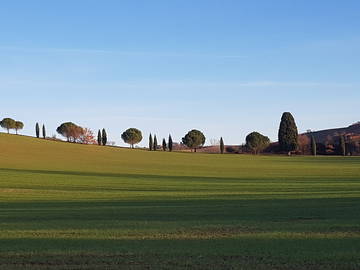 Chambre Chez L'habitant Lézat-Sur-Lèze 267604-8