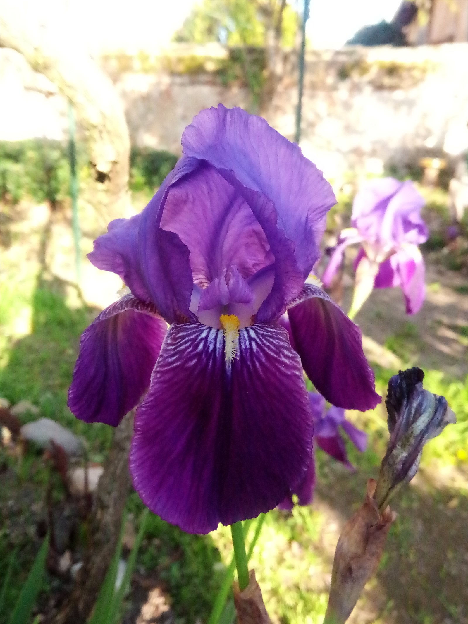 Homestay Lézat-sur-Lèze 350966